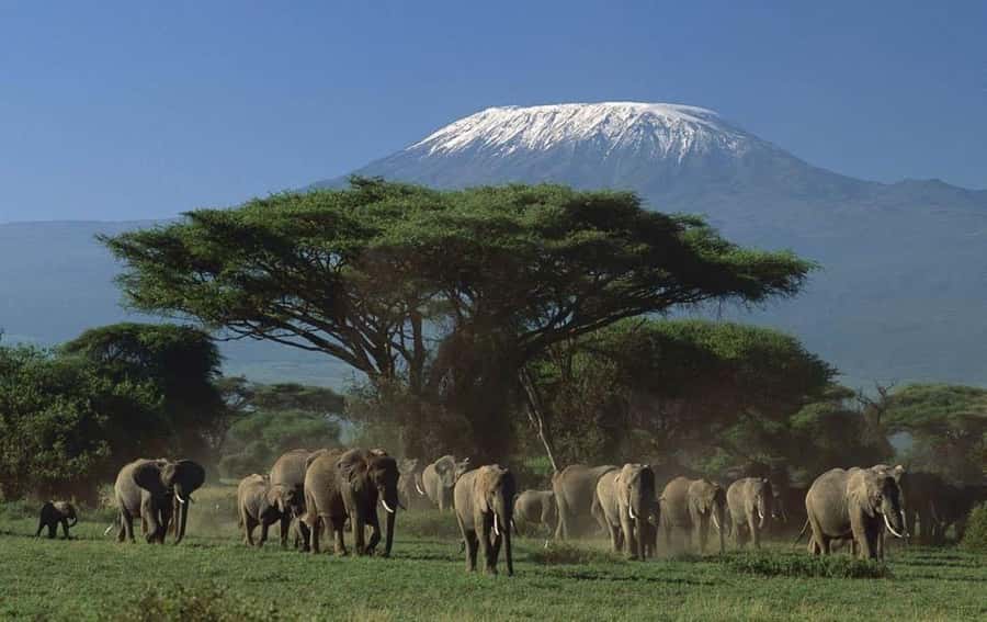 3 days Tsavo East and Amboseli safari from Diani/Mombasa - Tsavo East gives you space and variety