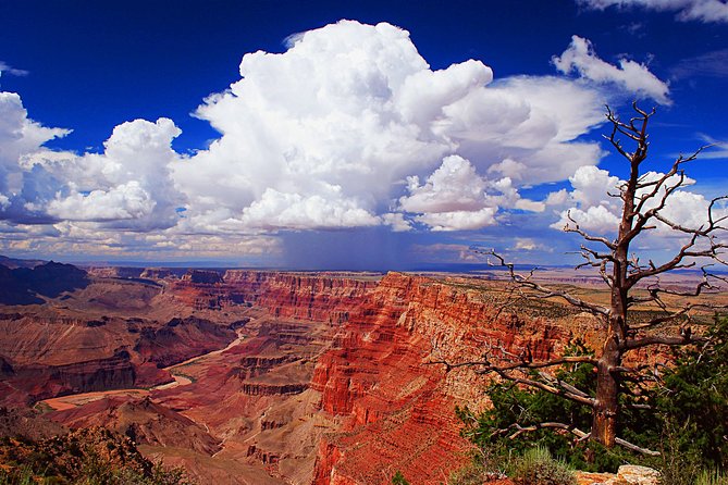 3 Hour Back-Road Safari to Grand Canyon with Entrance Gate By-Pass at 9:30 am - Hopi House and the historic village