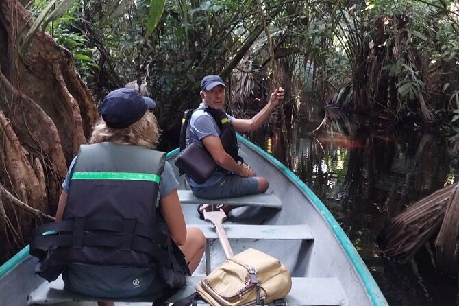 3-hour canoe tour through Tortuguero National Park - Paddling the canals for three hours