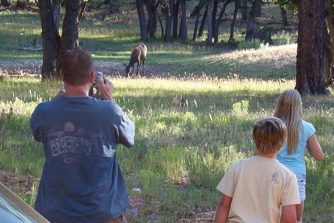 3 Hour Off-Road Sunset Safari to Grand Canyon with Entrance Gate Detour - Wildlife in Kaibab National Forest