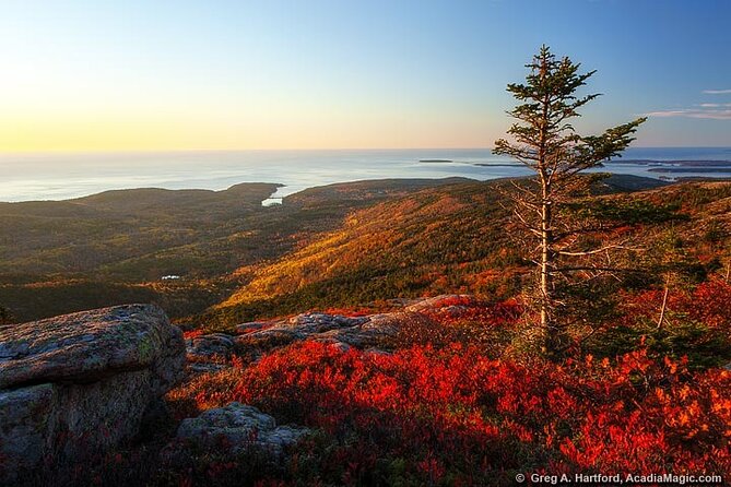 3 Hour: Private, locally guided Acadia with Cadillac Summit - Starting in Bar Harbor and heading into Acadia