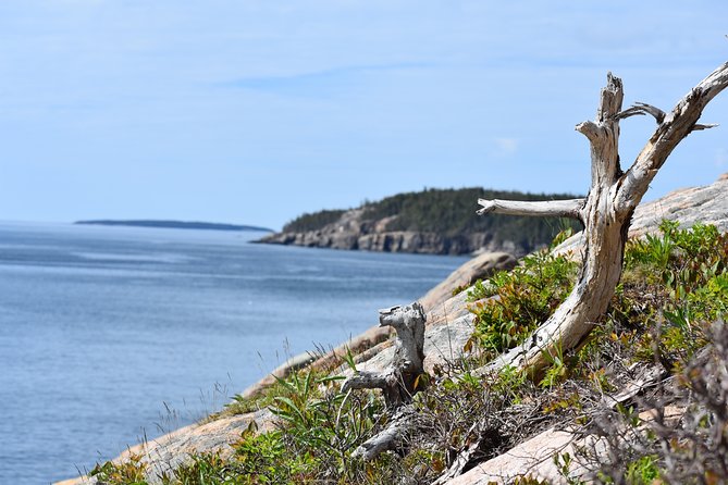 3 Hour: Private, locally guided Acadia with Cadillac Summit - What the guide adds beyond a map
