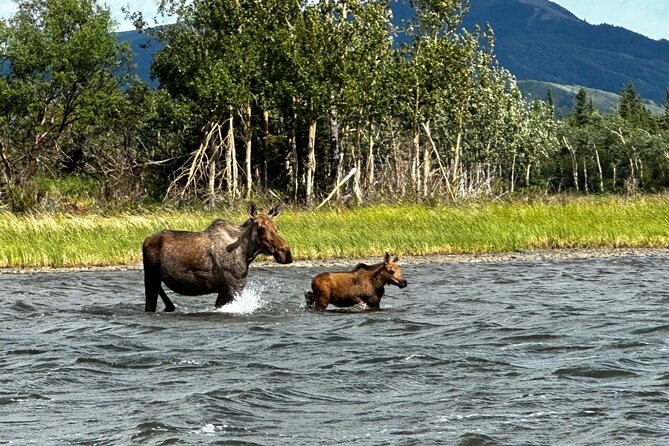 3 Hour SHERP Tour: Denali Fat Truck Tours - Key points to know before you book
