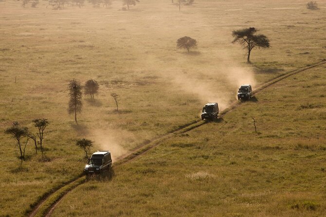 4 Day Great Migration Safari Serengeti & Ngorongoro Crater - Day three: one last Serengeti drive, then Ngorongoro