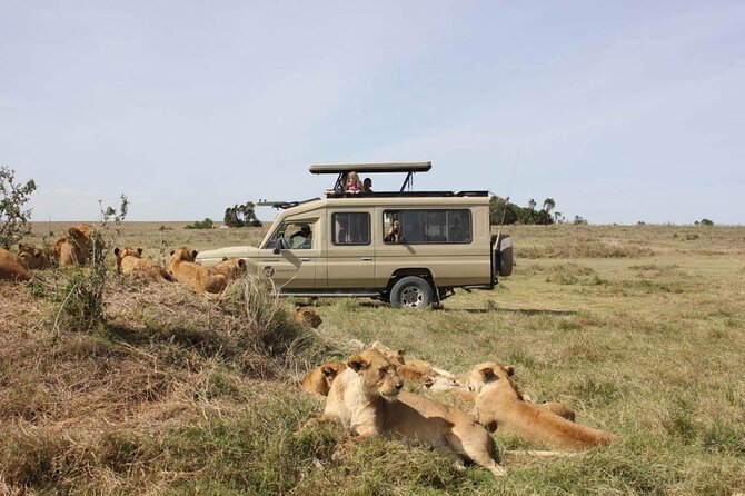 4 Day Great Migration Safari Serengeti & Ngorongoro Crater - Who should book this safari?
