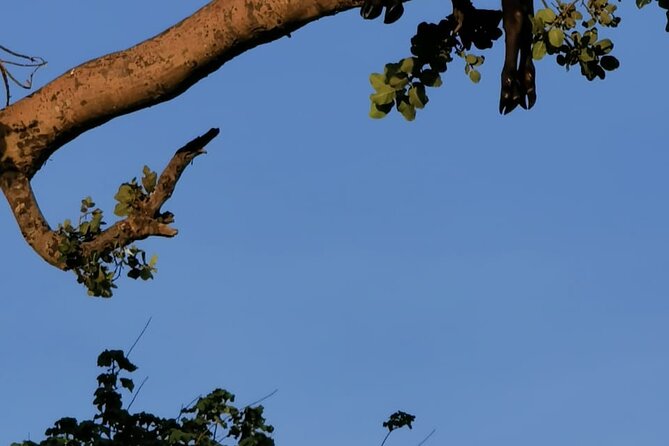 4-Day Lodge Private Tour to Tarangire, Serengeti and Ngorongoro - Day four: the wildlife bowl of Ngorongoro Crater