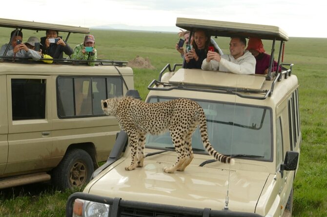 4-Day Lodge Private Tour to Tarangire, Serengeti and Ngorongoro - The strongest part of the service: guide and driver quality