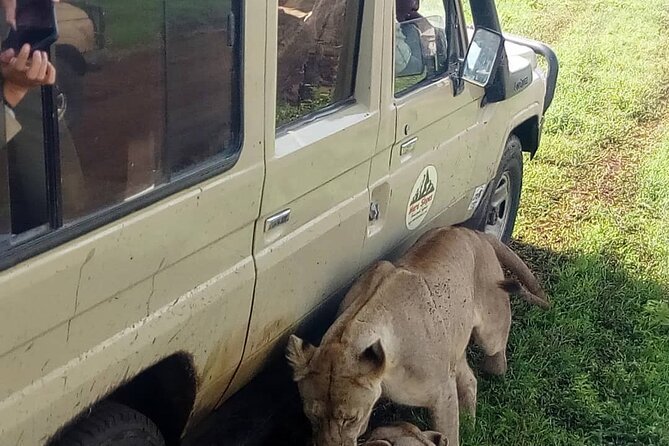 4-Day Lodge Private Tour to Tarangire, Serengeti and Ngorongoro - Day two: the long road to central Serengeti