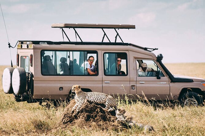 4 Day Ngorongoro Crater Tarangire and Serengeti National Park - What the $899 price really buys