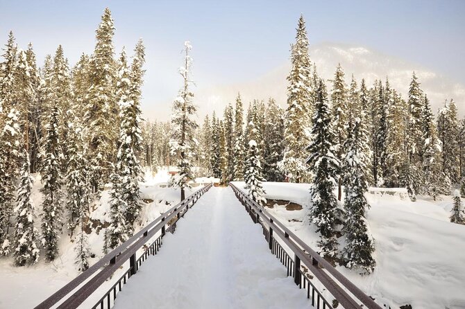 4-Day Rockies Discovery Tour Package, Banff, Jasper, and Yoho - Key things to know before booking