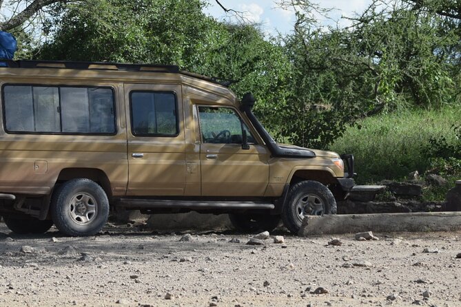 4-Day Safari to Tarangire ,Serengeti and Ngorongoro crater from Arusha - Guides, service, and the human side of the trip