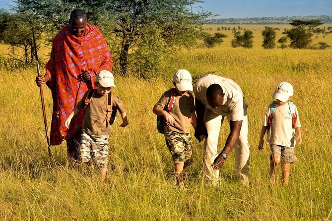 4-Day Safari to Tarangire ,Serengeti and Ngorongoro crater from Arusha - What the $1,515 price really covers