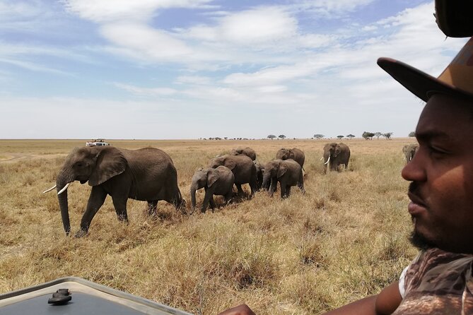 4-Day Safari to Tarangire, Serengeti and Ngorongoro from Arusha - Join a group - What the shared 4WD setup means