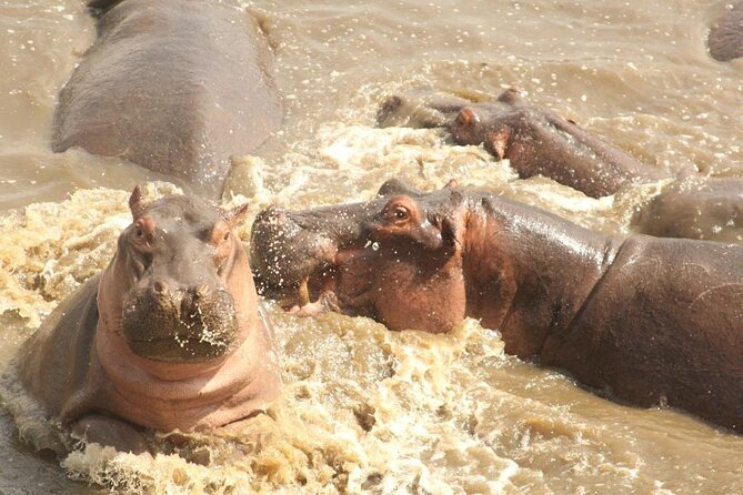 4 Day Serengeti and Ngorongoro crater - Who will enjoy this four-day safari