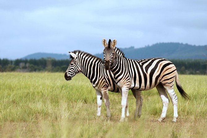 4 Days / 3 Nights Lake Manyara, Ngorongoro and Serengeti - Starting in Arusha at 6 a.m.