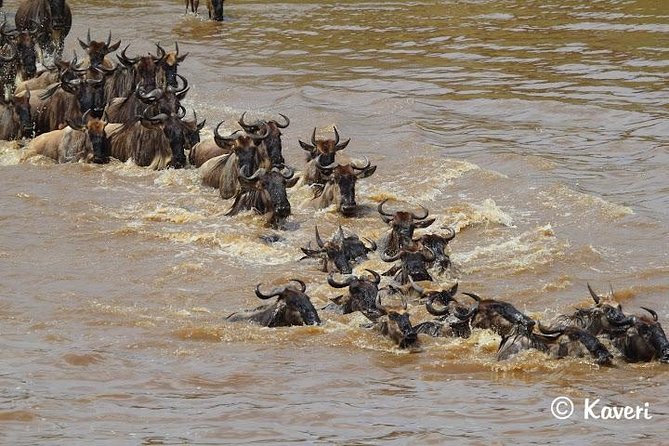 4 Days / 3 Nights Lake Manyara, Ngorongoro and Serengeti - Olduvai Gorge on the way to Ngorongoro