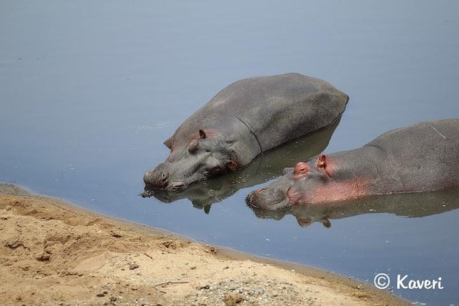 4 Days / 3 Nights Lake Manyara, Ngorongoro and Serengeti - Who should book this four-day safari?