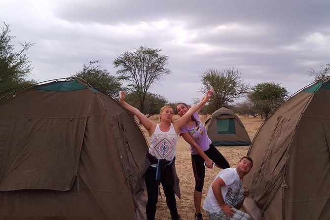 4 Days 3 Nights Tarangire Serengeti & Ngorongoro Lodge Safari - Day 3: a morning in Serengeti, then toward Ngorongoro