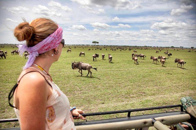 4 Days 3 Nights Tarangire Serengeti & Ngorongoro Lodge Safari - Why the private format matters