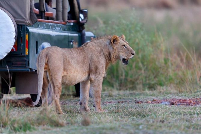 4 Days 3 Nights Tarangire Serengeti & Ngorongoro Lodge Safari - Meals, lodging, and comfort