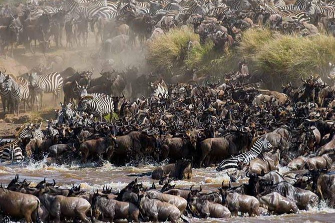 4-Days Adventure Camping Safari to Tarangire, Serengeti & Ngorongoro - Day 4: Searching for the Big Five in Ngorongoro