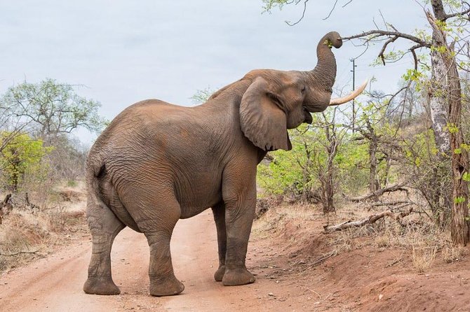 4-Days Adventure Camping Safari to Tarangire, Serengeti & Ngorongoro - Who should choose this safari?