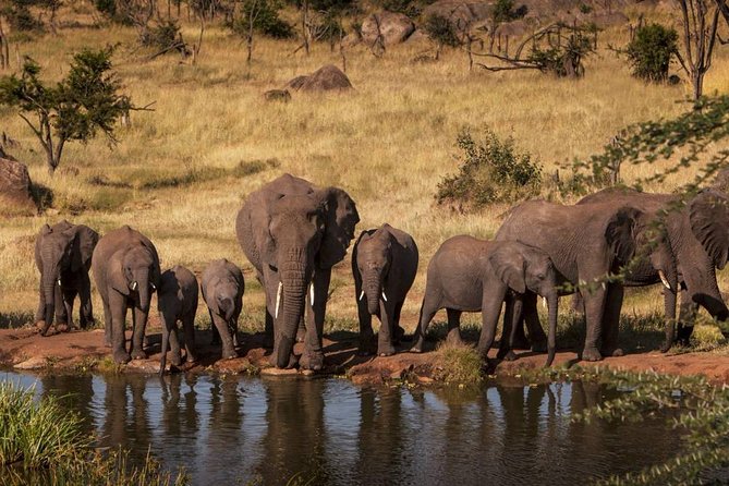 4-Days Adventure Camping Safari to Tarangire, Serengeti & Ngorongoro - Day 1: Elephants and baobabs in Tarangire