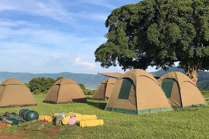 4 Days Join Group tour Tarangire Serengeti and Ngorongoro crater - Ngorongoro Crater: concentrated wildlife in a volcanic bowl