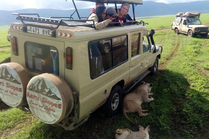 4 Days Join Group tour Tarangire Serengeti and Ngorongoro crater - Camping, meals, and comfort on the road