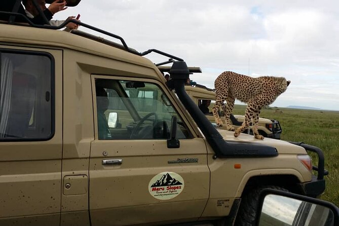 4 Days Join Group tour Tarangire Serengeti and Ngorongoro crater - What $1,090 buys you