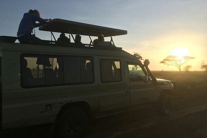 4 Days lodge &camping Tarangire,Serengeti, Ngorongoro Safari Tour - Day three: A full Serengeti morning before Ngorongoro