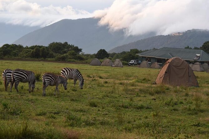 4 Days lodge &camping Tarangire,Serengeti, Ngorongoro Safari Tour - Day four: Ngorongoro’s crater floor and the return to Arusha