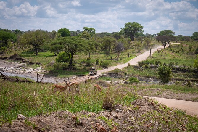 4 Days lodge &camping Tarangire,Serengeti, Ngorongoro Safari Tour - Camping, clothing, and the practical side