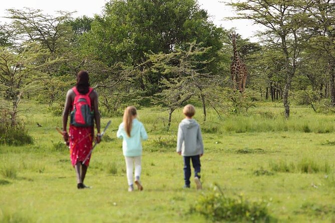 4 Days lodge safari Tarangire , Ngorongoro crater & Walking - What this four-day Tanzania safari is really like