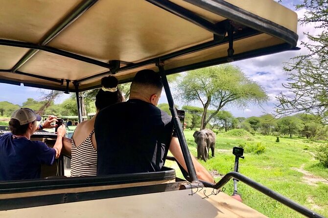 4 Days lodge safari Tarangire , Ngorongoro crater & Walking - Booking details and cancellation