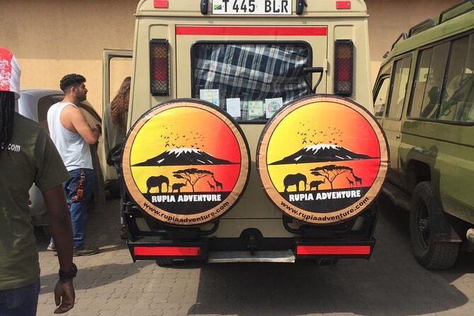 4 Days Private Safari - Tarangire, Serengeti & Ngorongoro Crater - Day three: one last Serengeti drive and Maasai country