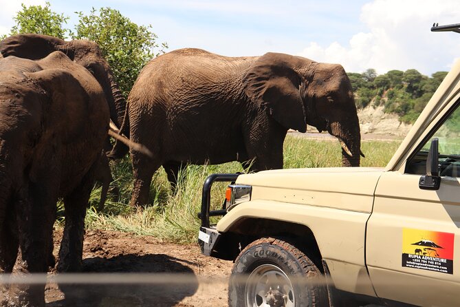 4 Days Private Safari - Tarangire, Serengeti & Ngorongoro Crater - What the camping arrangement really means