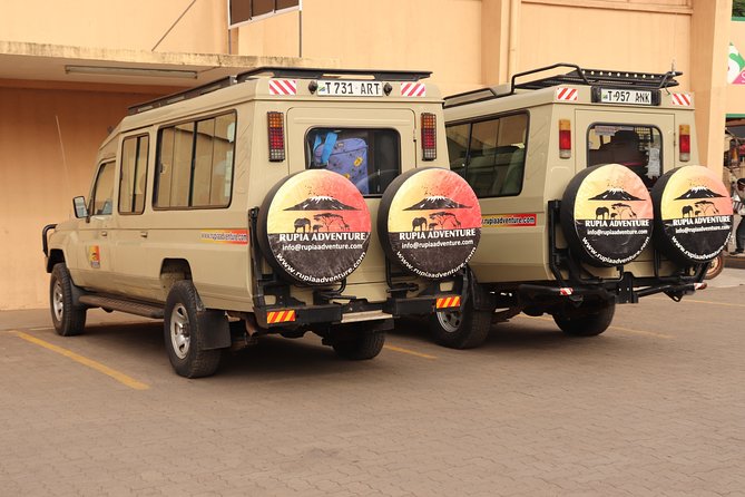 4 Days Private Safari - Tarangire, Serengeti & Ngorongoro Crater - Guides, vehicles, and the details that shape the trip