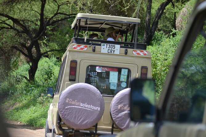 4 days serengeti & ngorongoro mid range tour - Day 1: Tarangire’s elephants and a full day in the park