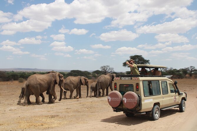 4 Days Tarangire Serengeti Ngorongoro Crater - Day two: the long road into Serengeti
