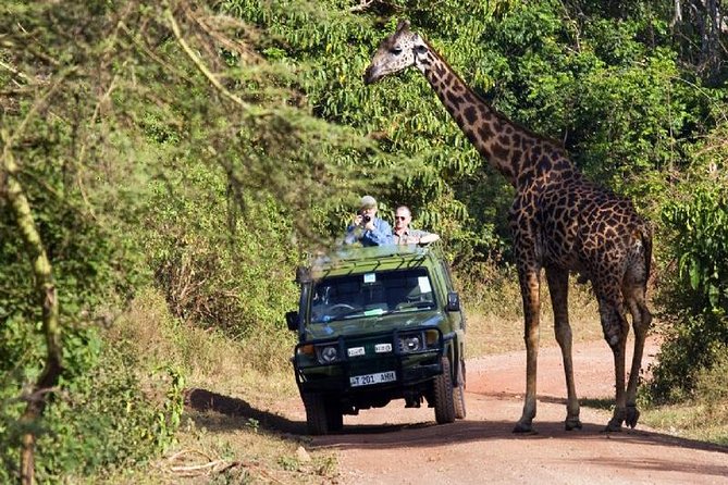 4 Days Tarangire Serengeti Ngorongoro Crater - What the $900 price really covers