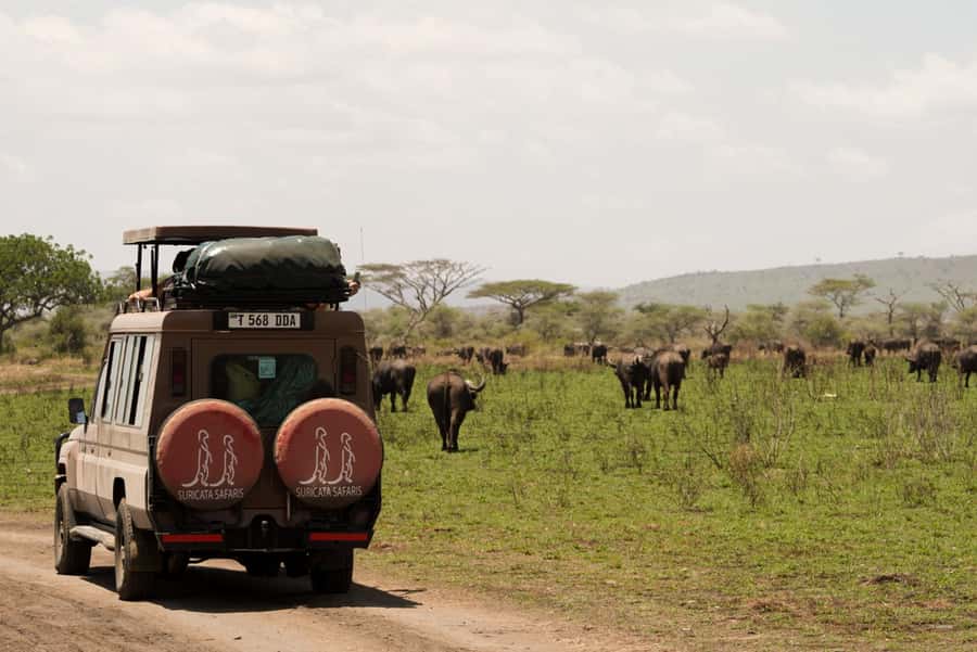 4 Days Tarangire, Serengeti, Ngorongoro Group Camping Safari - Key points at a glance