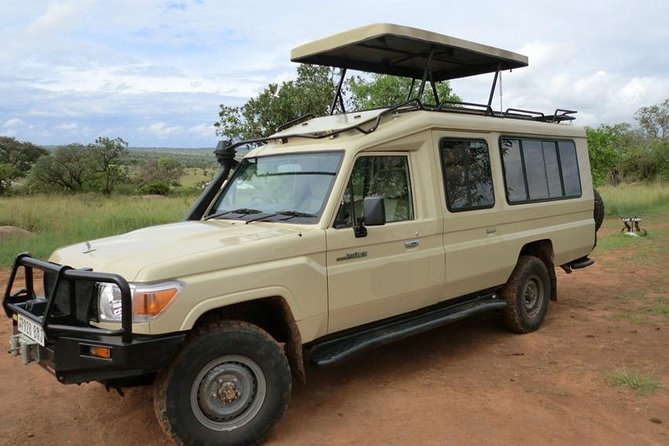 4 days Tarangire, Serengeti & Ngorongoro - Day 2: Serengeti is the big wildlife day