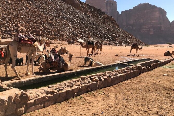 4 Hour Jeep Tour (morning or sunset) - Wadi Rum Desert Highlights - Khazali Canyon and its old inscriptions