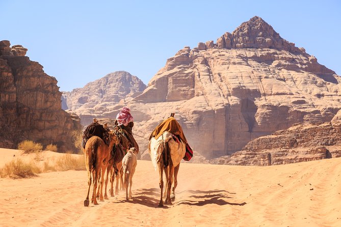 4-Night Private Jordan Mysteries:Petra, Wadi Rum, Aqaba, Dead Sea - The private driver is a major part of the experience
