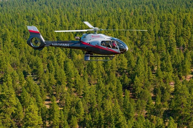 45-minute Helicopter Flight Over the Grand Canyon from Tusayan, Arizona - Is $394.88 a fair price?