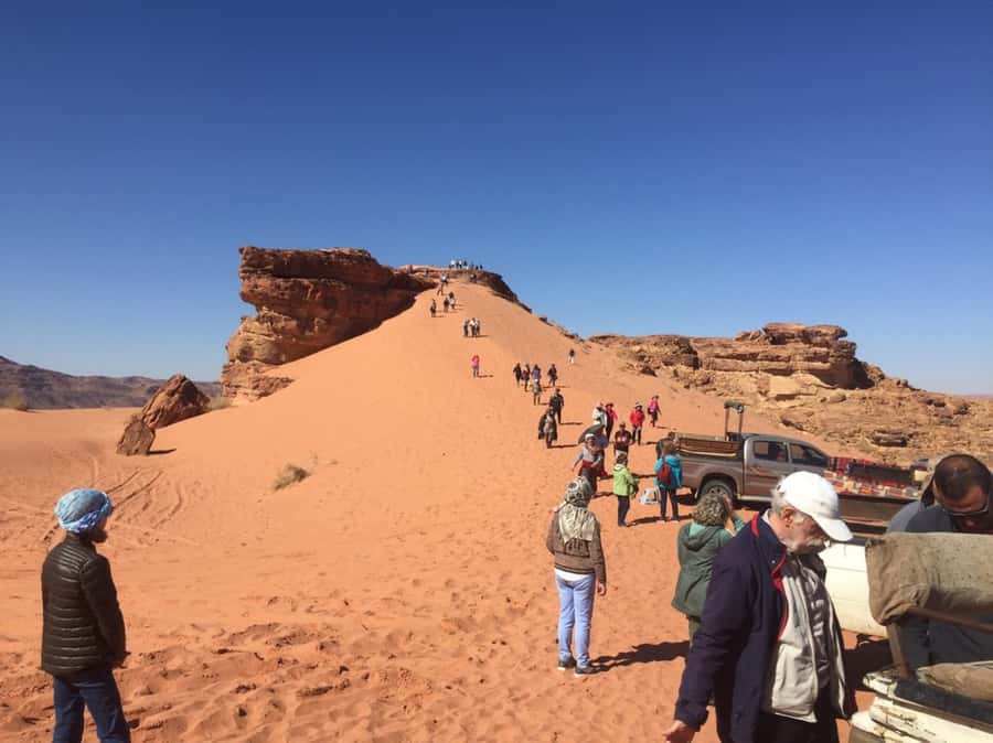 4Hour Jeep Tour (Morning or Sunset) Wadi Rum Desert Highligh - Is $48 a fair price?