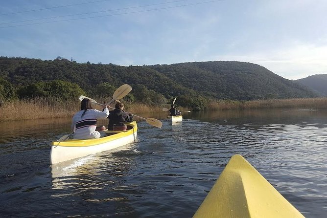 5 Day Cape to Addo Safari - Garden Route Small Group Tour - Guides, group feel, and the long drives