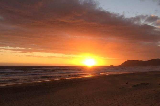 5 Day Cape to Addo Safari - Garden Route Small Group Tour - What is included, and what you still pay for