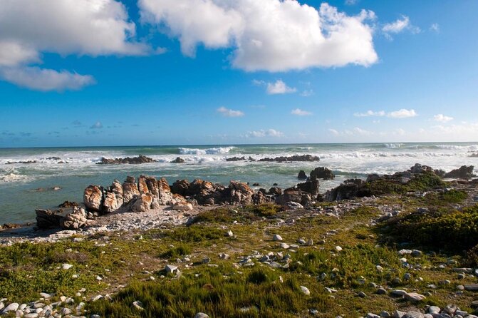 5-Day Garden Route & Addo Adventure from Cape Town to Port Elizabeth - Why this five-day route works